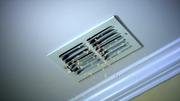 Air Duct Mold Removal in Wheatland, CA