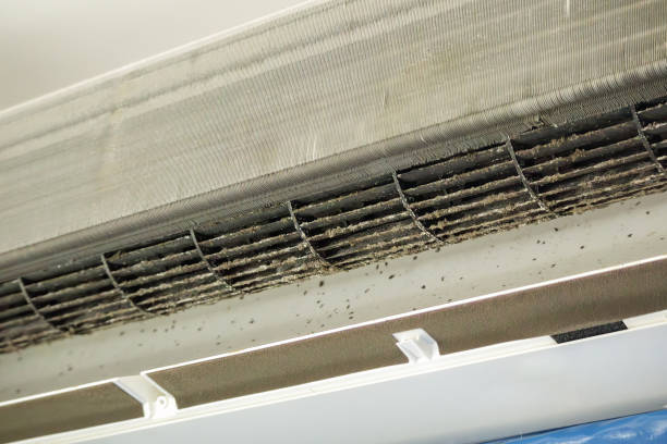 Best Air Quality Test  in Wheatland, CA